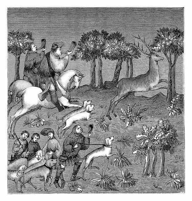 Historie obojku pro psa - final min min min min min min 1562494597