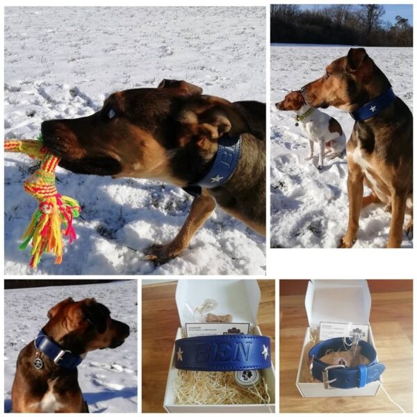 Obojek pro psa oceánová modrá - 006b34bcb0b68e345ee965ea8