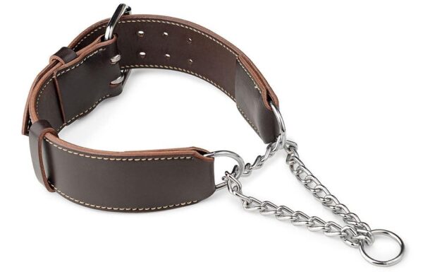 Polostahovací obojek & Martingale obojek - 09d3ba029c3bec4e8a1967a5c