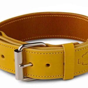 Obojek pro psa Hořčicová