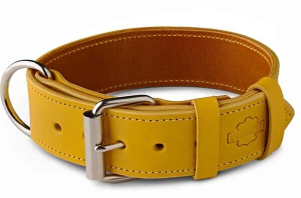 Obojek pro psa Hořčicová