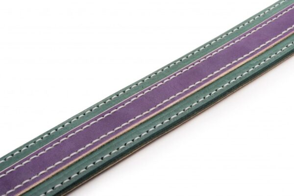 Originální obojek pro psa Duo Viorde - 118038db179ca59a3ec37d07f