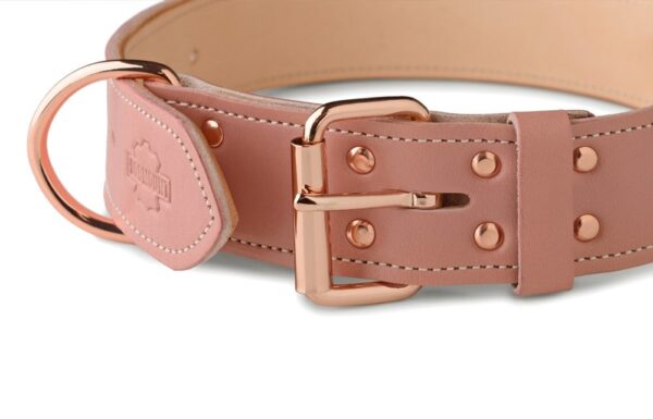 Psí obojek starorůžová - 11f1587b56794ac06d4fef166