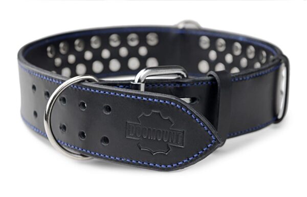 Luxusní zdobený obojek - 16f2b6c6eb35ad61b0b6cb8be