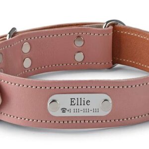 Psí obojek se jménem růžový