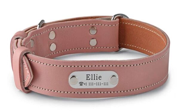 Psí obojek se jménem růžový