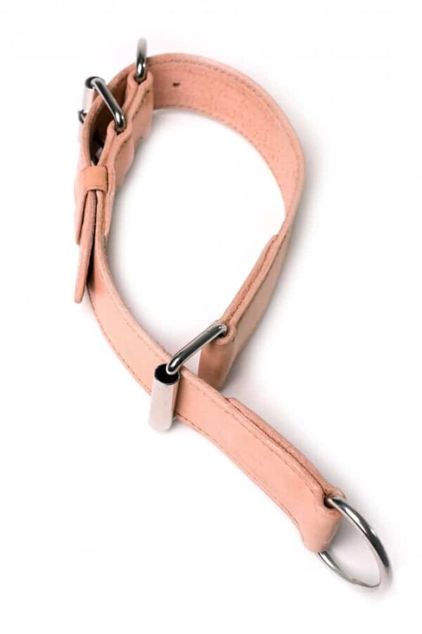 Stahovací obojek pro psy - 1aeda075a2fdd8e0dc5670edc