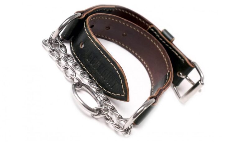 Polostahovací martingale obojek pro psa 1