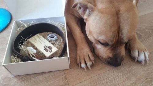 Hnědý kožený obojek Uno Maruro photo review