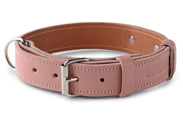 Psí obojek se jménem růžový - 280396ab06cd0403714f1a7c2