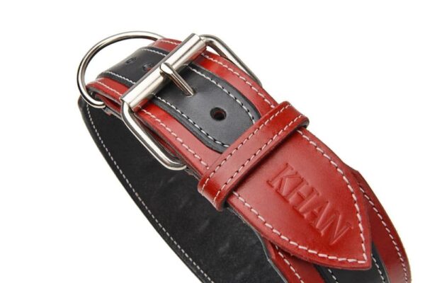 Obojek s hroty široký - 2898e8b6e97df1b02562a18ee