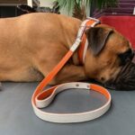 Obojek kožený hnědožlutý photo review