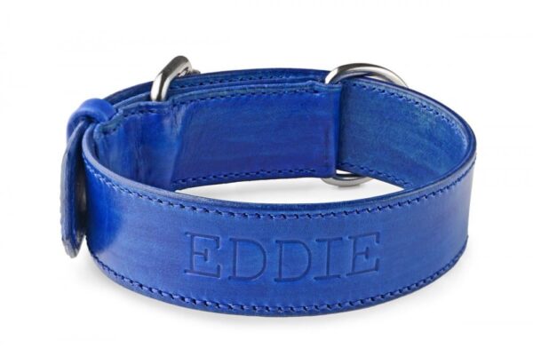 Obojek pro psa oceánová modrá - 31678d7b7a861644532387eac