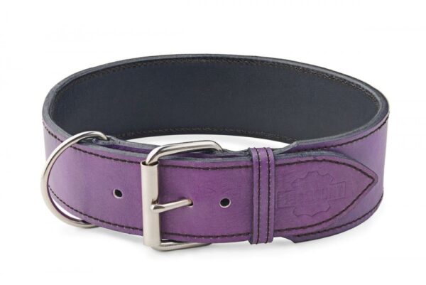 Široký obojek fialový - 37be2000376c67cc2ce4290aa