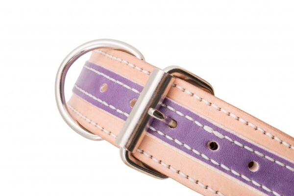 Kožený obojek pro psa Duo Viarosa - 3b1a51cb30fb6cc36d3479e2b