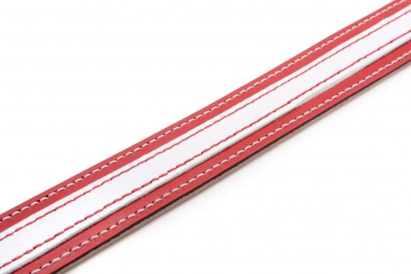 Kožený psí obojek Duo Biaroso - 4a8ea888726ad4cb5798c050f