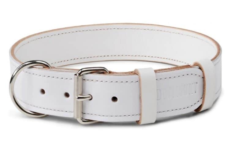 Bílý kožený obojek Uno Bianca