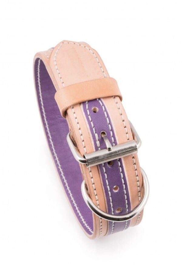 Kožený obojek pro psa Duo Viarosa - 549b66797d8c688be90c3cccd