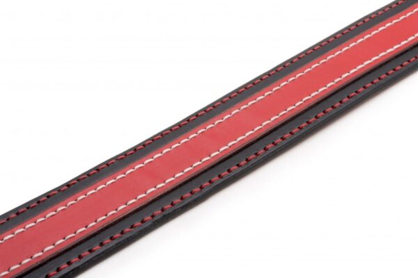 Kožený obojek Duo Rosnero - 5e5e63b952d8feed29f881eb0