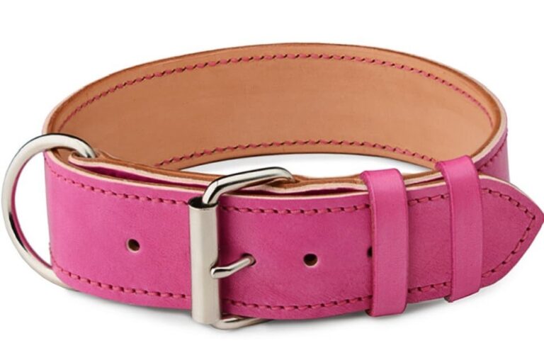 Růžový obojek Uno Rosio