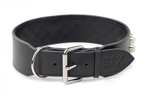 Ostnatý obojek - 643396eda078eef32f4d07e4b