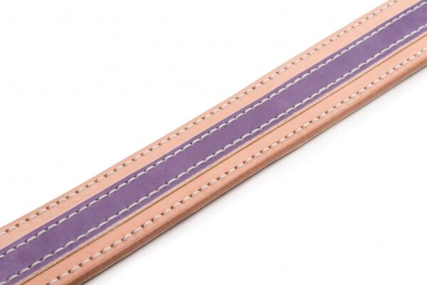 Kožený obojek pro psa Duo Viarosa - 65c48e5d21fc1fc681e42fc92