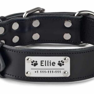 Obojek se jménem a telefonním číslem černý