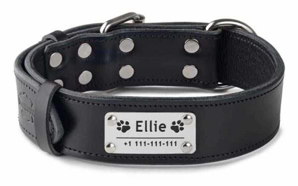 Obojek se jménem a telefonním číslem černý