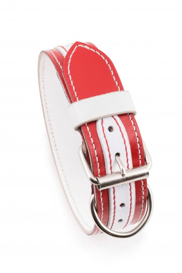 Kožený psí obojek Duo Biaroso - 7173d6138ae3c92ff6ef49759