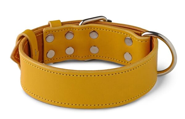 Obojek pro psa Hořčicová - 733fa8ecf46953b31c39973dc 1