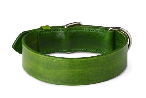 Obojek zelený mechový - 74917a9567284865a75bfa441