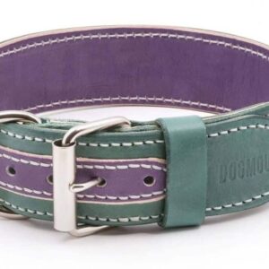 fialový zelený kožený obojek viorde