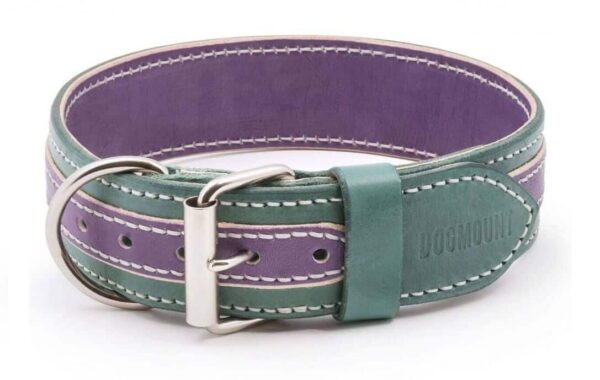 fialový zelený kožený obojek viorde