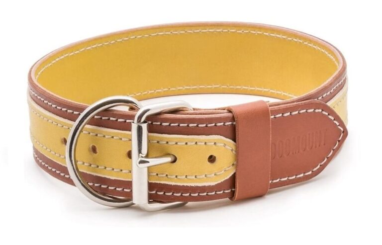 Kožený obojek žlutý, hnědý Duo Giarone