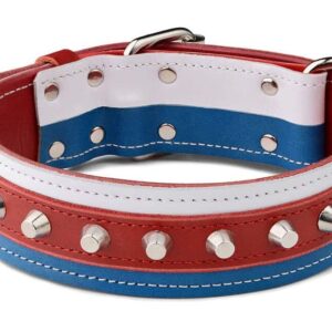 Obojek česká trikolora