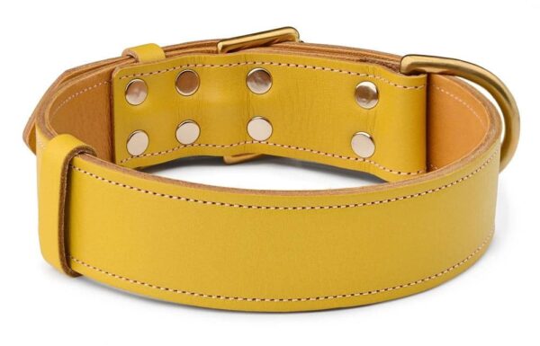 Žlutý Obojek S Mosazným Kováním - 923377397c238d12c660c0fb1