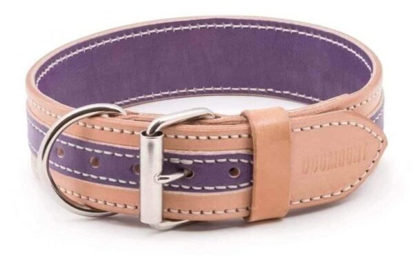 fialovo béžový obojek pro psa