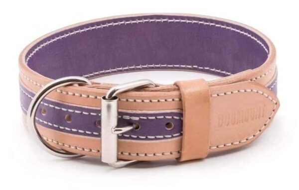 fialovo béžový obojek pro psa