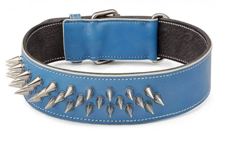 Kožený obojek s ostny modrý