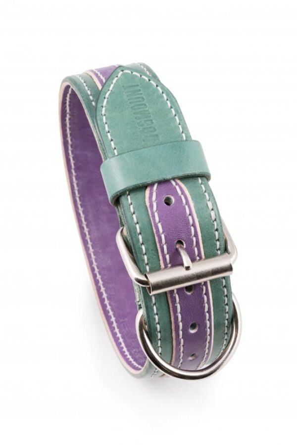 Originální obojek pro psa Duo Viorde - aeb9dde9cb7364e021396410b