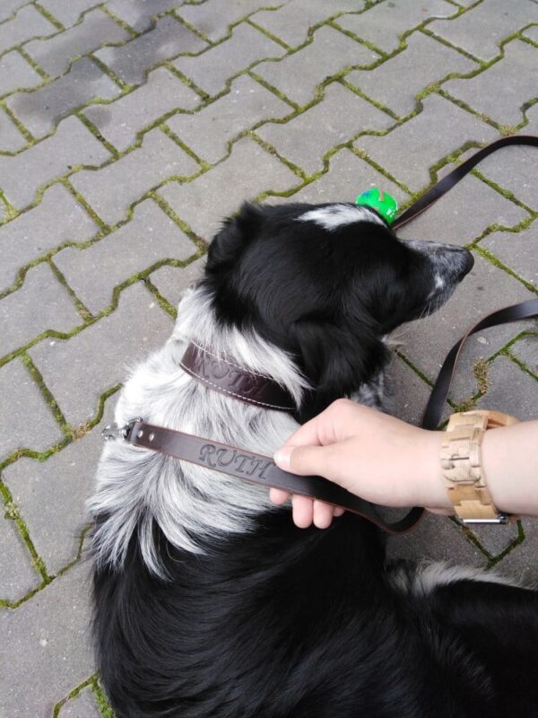 Hnědý kožený obojek Uno Maruro - afec00b1f448aa8841f0d0b35