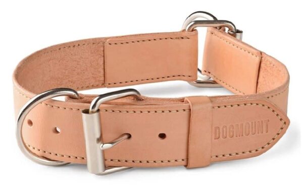 Stahovací obojek pro psy