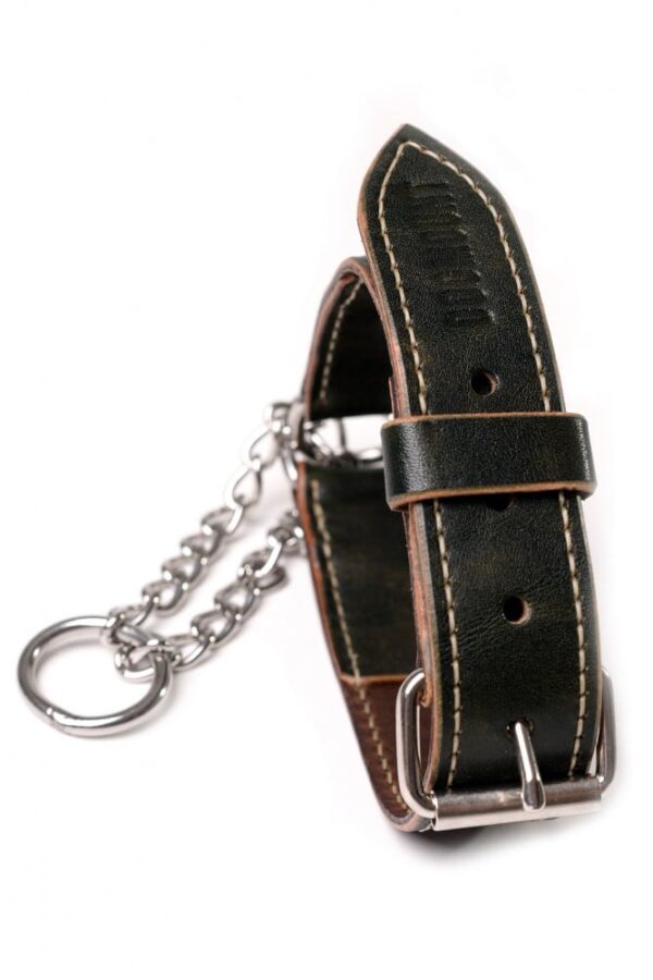 Polostahovací martingale obojek pro psa - b6109df0c9e9fd50e96f959d6