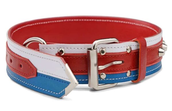 Obojek česká trikolora - b8da5701a320efc7061e2cf53