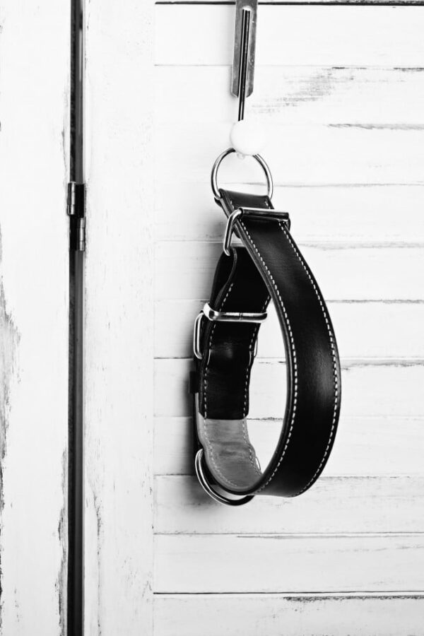 Kožený stahovací obojek Extra Primova - bdaa16192b00a83534d4987b9