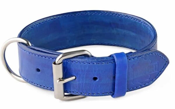 obojek pro psa oceánová modrá