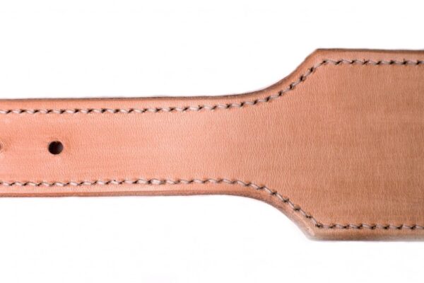 Široký obojek oranžový - c4c6dd5c2608725ff3b2f8787