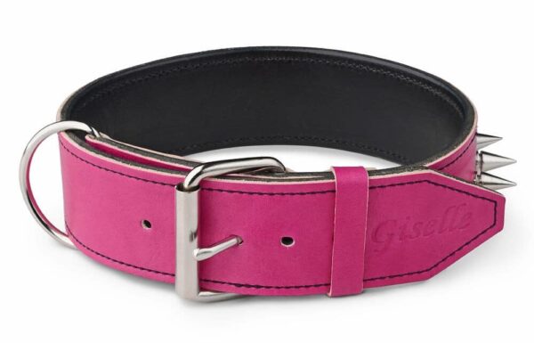 Růžový kožený obojek s ostny - c995e8ebf8c2f9bd0cc2c82fd