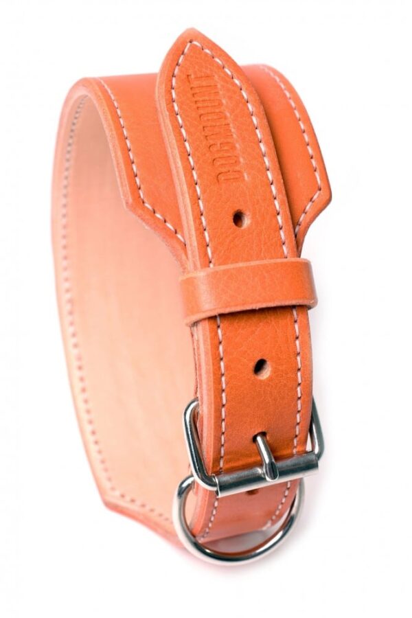 Široký obojek oranžový - cab4feaa18f92909c03ea6210