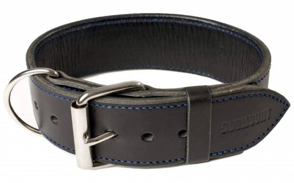 černý kožený obojek pro psa